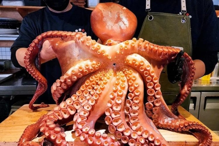 شوک به منوهای لوکس رستورانی؛ لابستر میلیونی جنجال ساخت