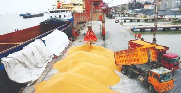 خطر جدید در کمین امنیت غذایی! خطر جدید در کمین امنیت غذایی!