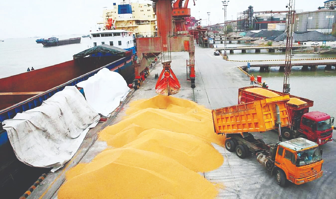 خطر جدید در کمین امنیت غذایی!