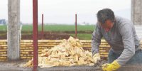 دستمزد ۳۱میلیونی؛ آرزوی محال یا حق قانونی؟
