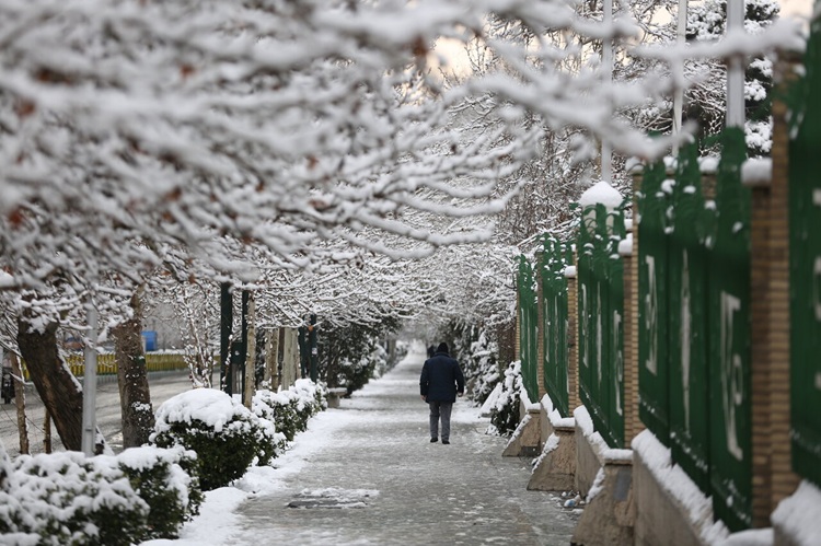 هشدار هواشناسی برای این استان‌ها؛ برف و سرمای شدید در راه است