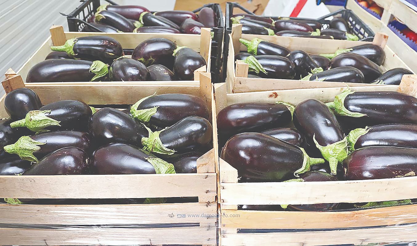 سقوط ارزآوری محصولات کشاورزی کشور