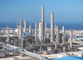 سودآوری در مسلخ سودآوری در مسلخ