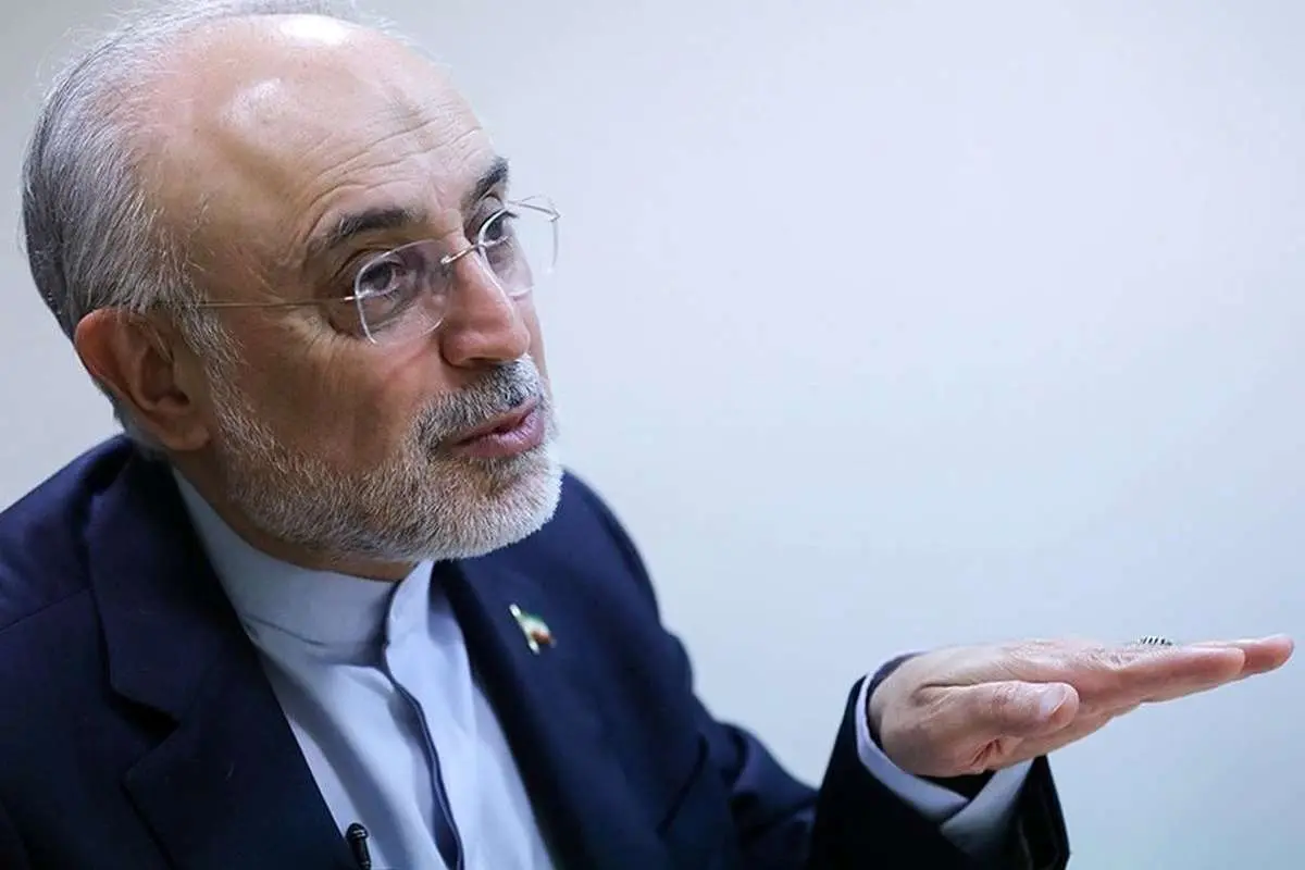 صالحی: با قواعد اشتباه بازی می‌کنیم؛ فوتبال سیاست را با مقررات والیبال پیش می‌بریم