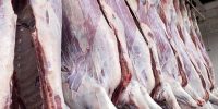 قیمت گوشت به سقف جدید رسید؛ مغز ران ۱.۶ میلیونی شد
