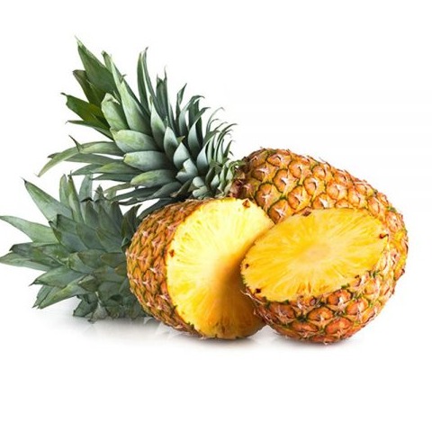 مرجع تخصصی فروش اسانس های خوراکی و عطری در ایران را بشناسید