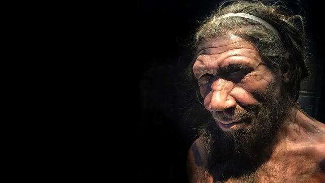 از «نئاندرتال»ها چه می‌دانید؟