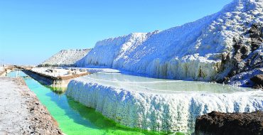   مجتمع پتاس خور و بیابانک؛ بزرگ‌ترین تولیدکننده در منطقه