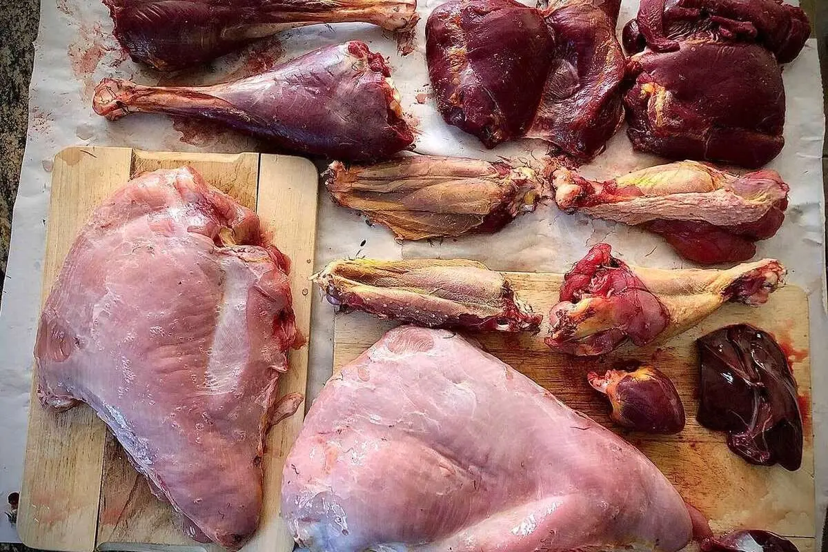 قیمت گوشت بوقلمون در میدان تره بار چند؟