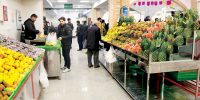 کالابرگ وارد میدان می‌شود؛ خرید سیب و پرتقال با یارانه جدید دولت