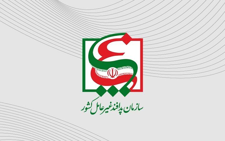بیعت با رهبر آینده، بزرگترین گام در دفاع همه جانبه از کیان ایران است