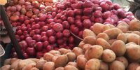 افزایش عرضه سیب زمینی به بازار؛ قیمت تا چند روز آینده متعادل می شود