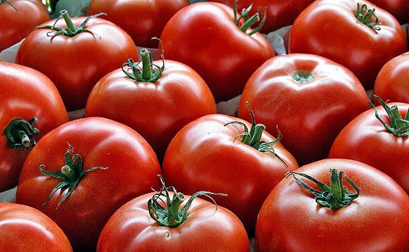پشت پرده نوسانات بازار گوجه فرنگی چیست؟