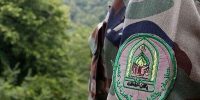 سازمان منابع طبیعی بعد از جنگ
