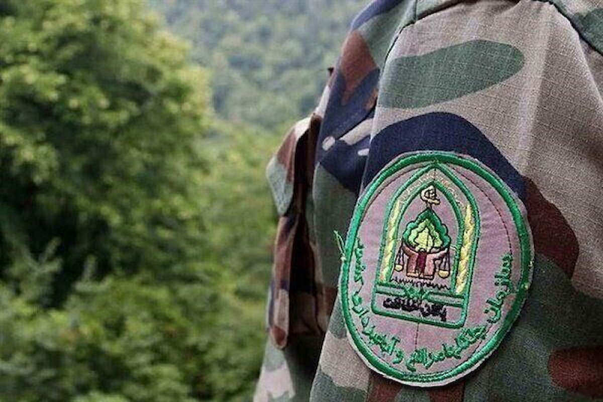 سازمان منابع طبیعی بعد از جنگ