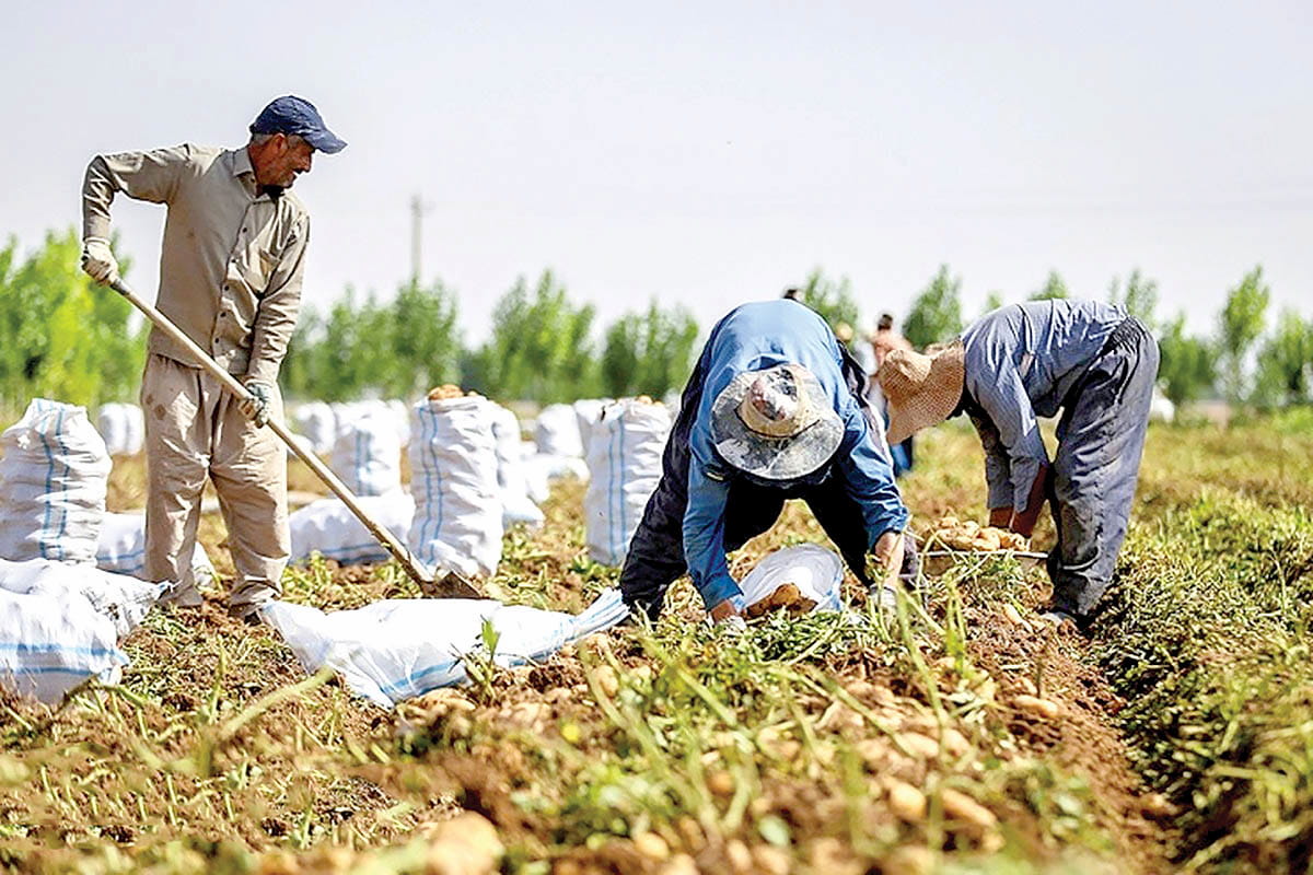 سال بلوای کشاورزان