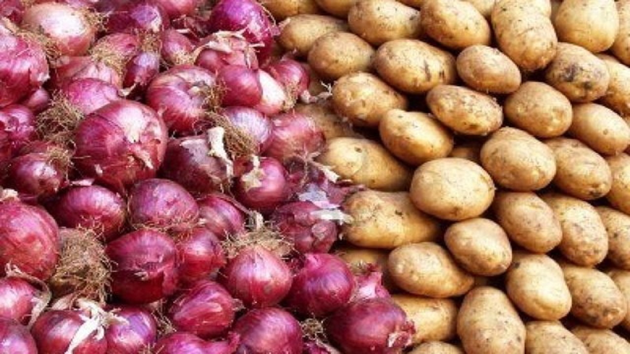 بازار سیب زمینی و پیاز معتدل است