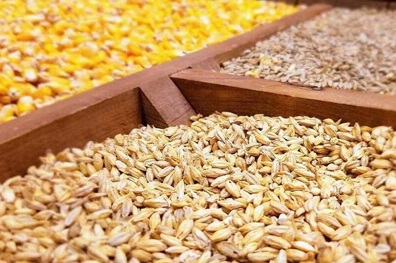 نهاده دامی به میزان کافی در سامانه بازارگاه موجود است