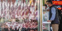 واردات گوشت قرمز در صورت نیاز