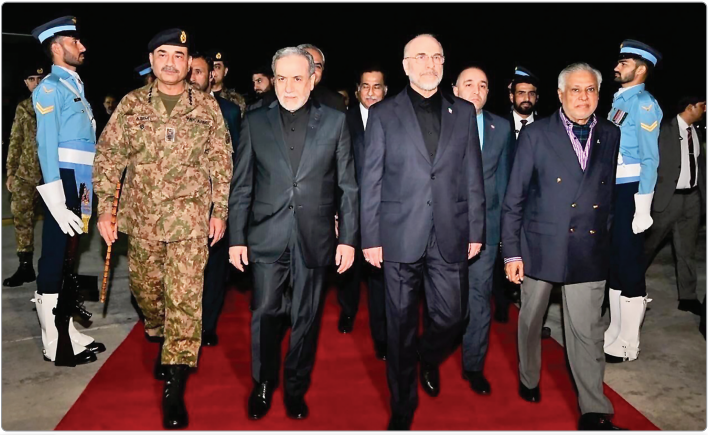 پارانویای پایداری