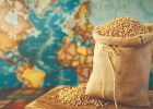 ازدست‌ رفتن تعادل در سبد جهانی غذا