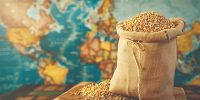 ازدست‌ رفتن تعادل در سبد جهانی غذا