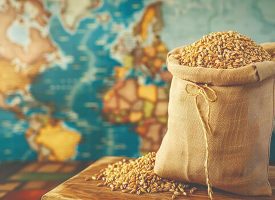 ازدست‌ رفتن تعادل در سبد جهانی غذا