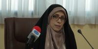 امین‌زاده: در مورد تنگه هرمز و دریافت عوارض عبور باید روایت‌سازی کنیم