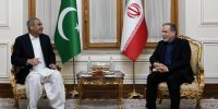 وزیر کشور پاکستان با عراقچی دیدار کرد