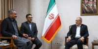پزشکیان دردیدار وزیرکشور پاکستان روند رایزنی‌های دیپلماتیک رامورد بررسی و ارزیابی قرار داد