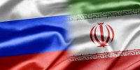 خرس سرخ شریک یا شکارچی؟