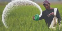 زنگ خطر برای سفره جهان