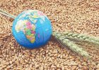سبد جهانی غذا و هزینه عدم قطعیت