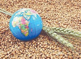 سبد جهانی غذا و هزینه عدم قطعیت