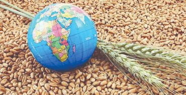 سبد جهانی غذا و هزینه عدم قطعیت