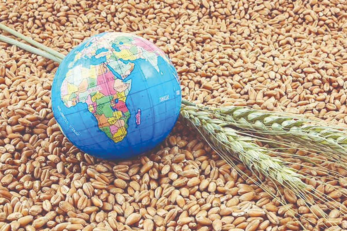 سبد جهانی غذا و هزینه عدم قطعیت