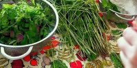 قیمت سبزی برگی و غیر برگی اعلام شد قیمت سبزی برگی و غیر برگی اعلام شد