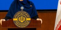 سخنگوی دولت: هیچ نگرانی درباره ذخایر مرغ کشور وجود ندارد سخنگوی دولت: هیچ نگرانی درباره ذخایر مرغ کشور وجود ندارد