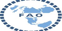 افزایش قیمت جهانی مواد غذایی برای سومین ماه متوالی
