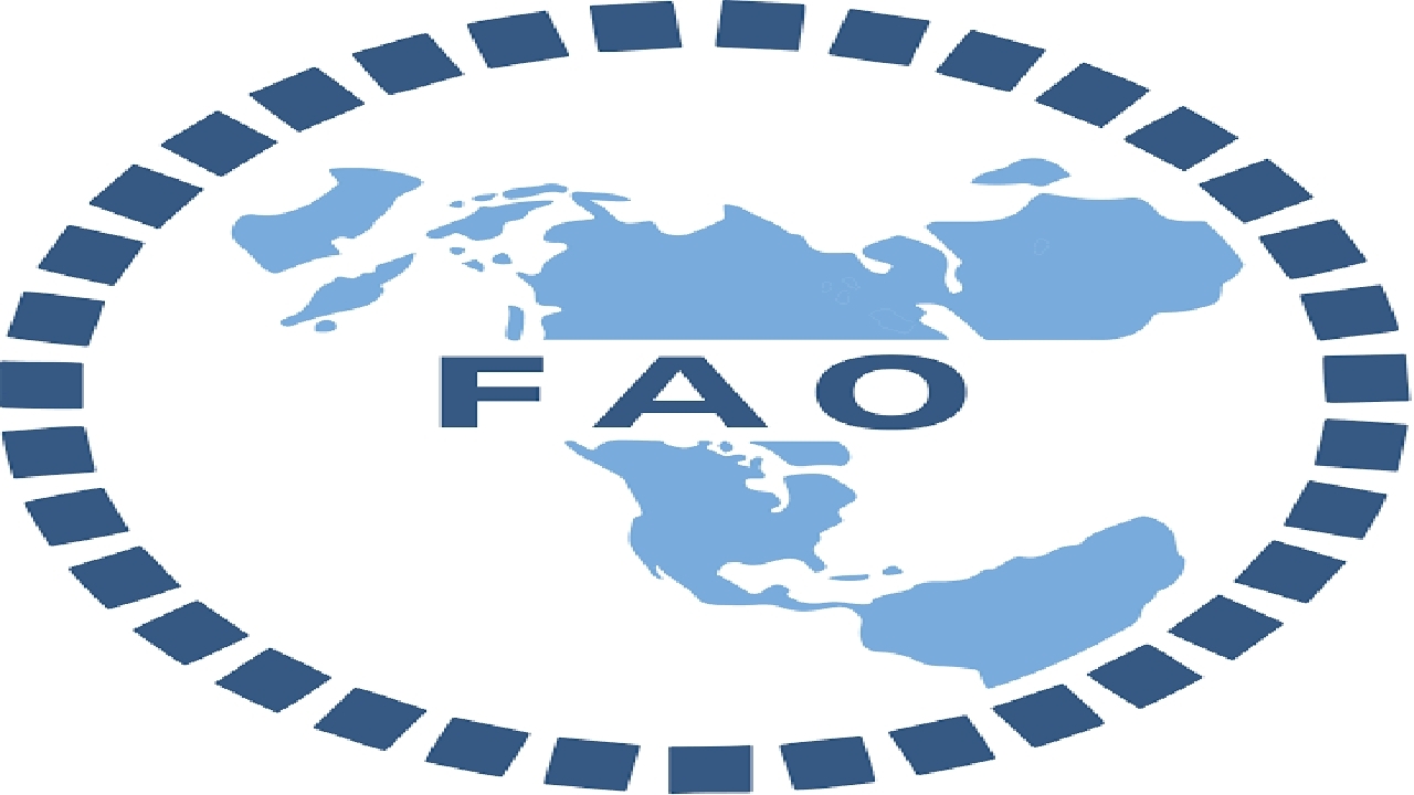 افزایش قیمت جهانی مواد غذایی برای سومین ماه متوالی