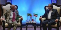 دیدار وزیر خارجه با همتای برزیلی در دهلینو دیدار وزیر خارجه با همتای برزیلی در دهلینو