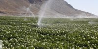 محصولات پلیمری تولید داخل پاسخگوی نیاز بخش آب و خاک کشور است