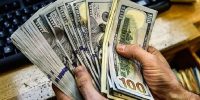 انتقال یارانه ارزی به مصرف کننده، سیاست درست دولت بود