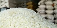 شوک نظارتی به بازار برنج؛ تغییر در روند واردات کلید خورد