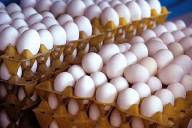 آرامش نسبی در بازار تخم‌مرغ/صادرات از سر گرفته شد
