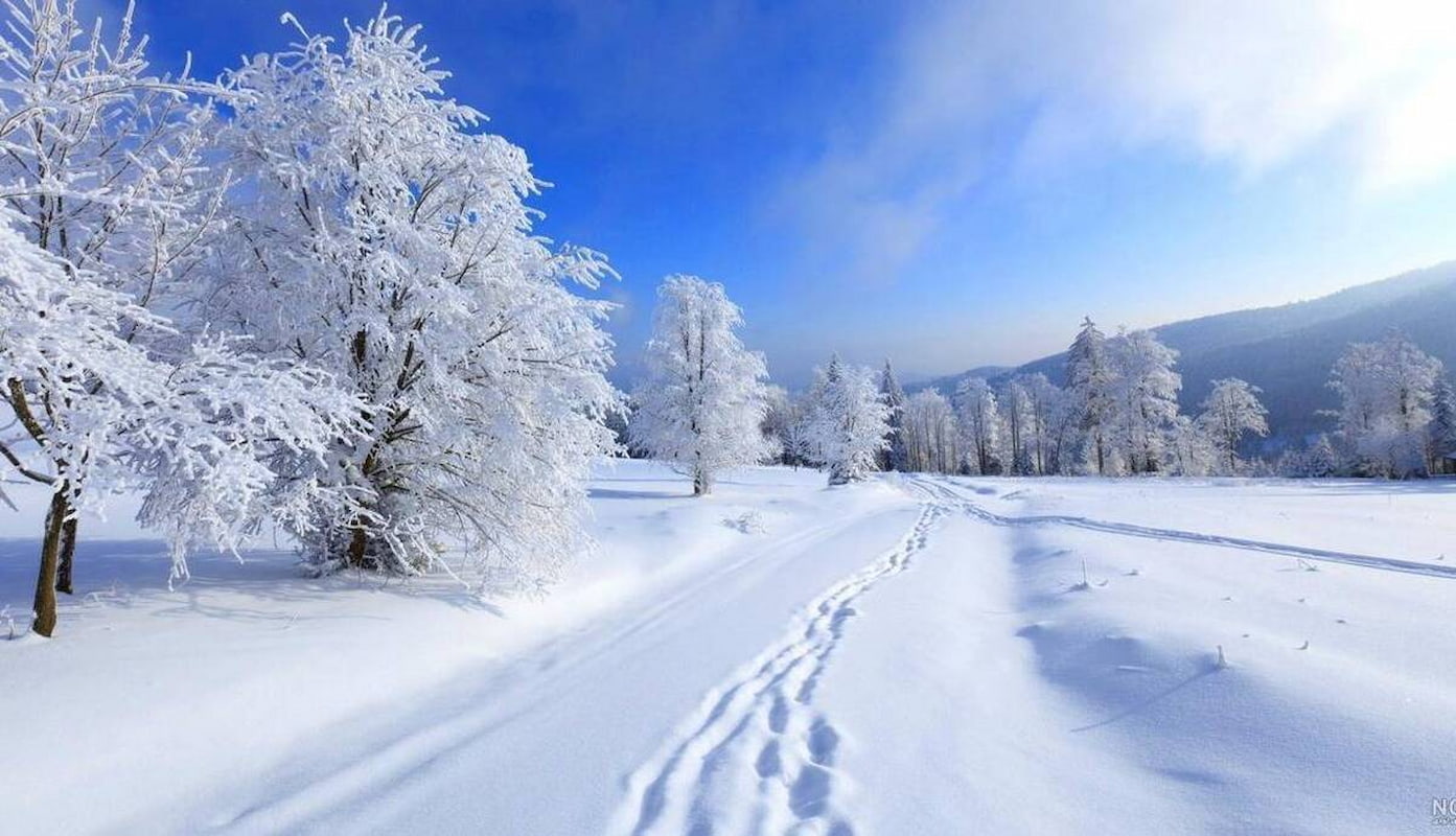 زمستان سخت در راه است؟