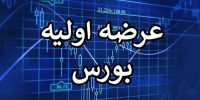 تاریخ و جزئیات بزرگ‌ترین عرضه اولیه تاریخ بورس