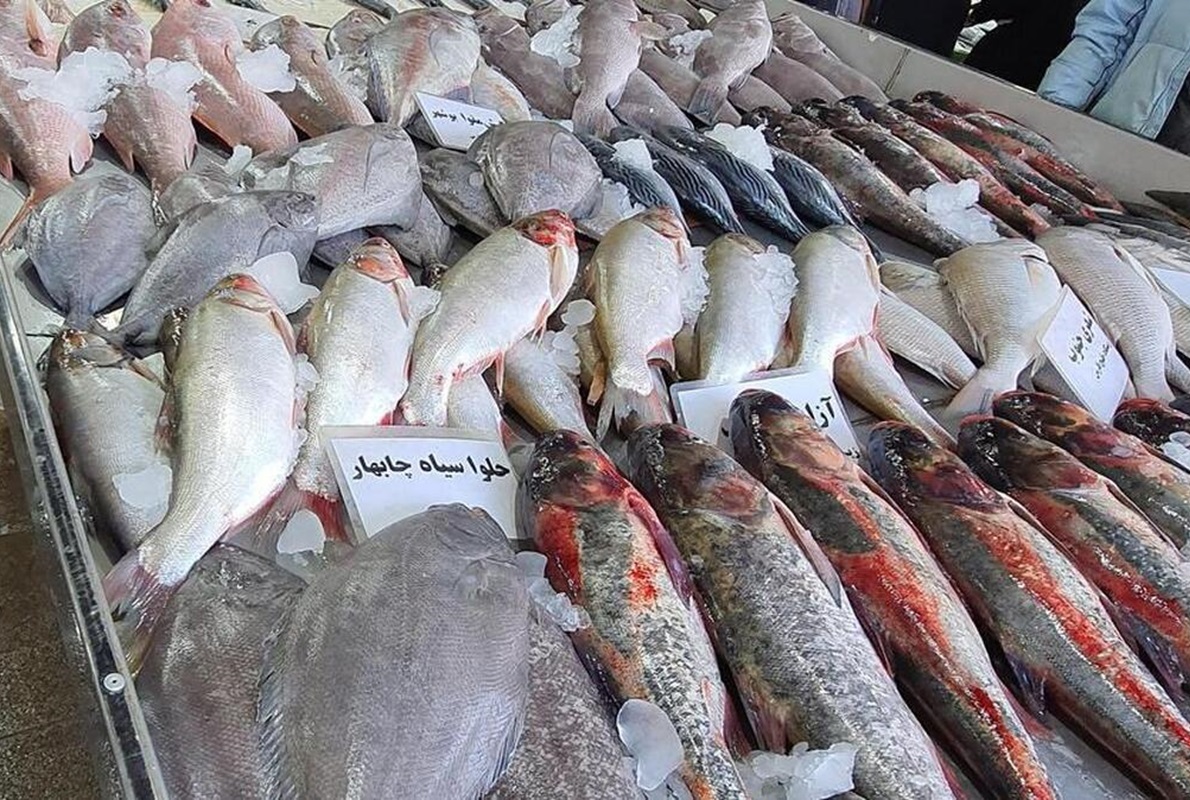 قیمت انواع ماهی در هفته پایانی خردادماه/ این ماهی کیلویی ۹۹۰ هزار تومان قیمت خورد