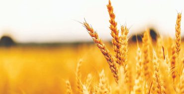 نگاهی به یک بازار ۵۰ میلیارد دلاری نگاهی به یک بازار ۵۰ میلیارد دلاری