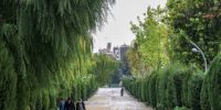 هشدار سطح نارنجی هواشناسی؛ وزش باد شدید در تهران هشدار سطح نارنجی هواشناسی؛ وزش باد شدید در تهران